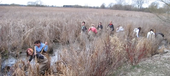 Who knew mucking about would be so fun?