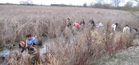 Who knew mucking about would be so fun?